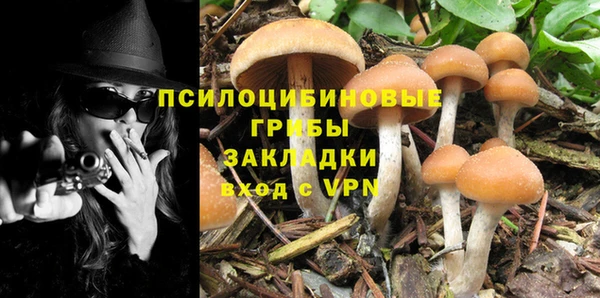мяу мяу мука Белокуриха