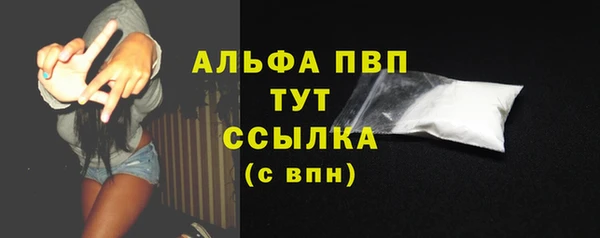мяу мяу мука Белокуриха