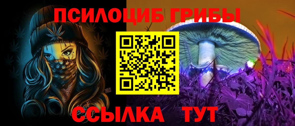 Псилоцибиновые грибы мицелий Гатчина
